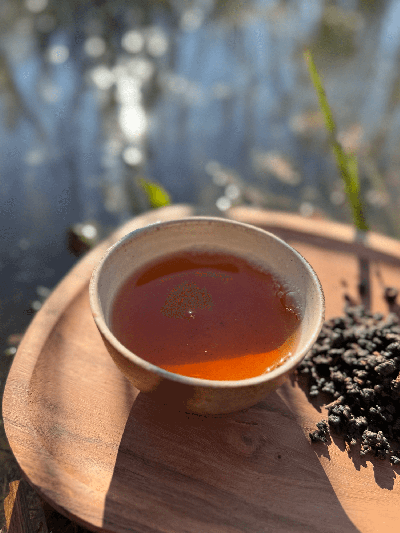 Hong cha, černý čaj, Taiwan