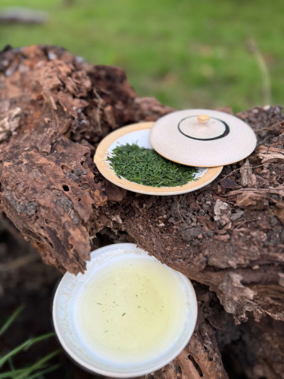 Kabusé Miyazaki Okumidori