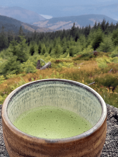 Matcha Kyotanabe Extra 30 g | BRATŘI V ČAJI