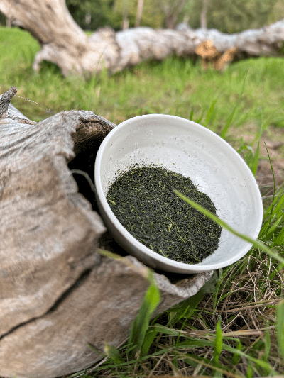 Fukamushi Sencha Saemidori 80 g