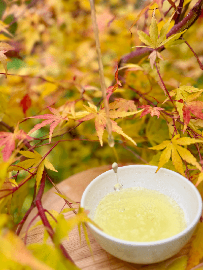 Sencha Karakuni Yabukita JAS | BRATŘI V ČAJI