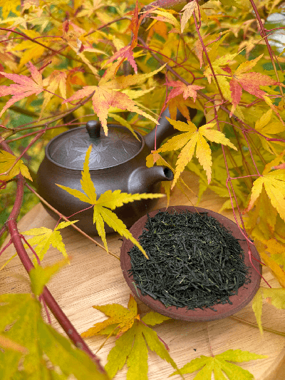 Sencha Karakuni Yabukita JAS | BRATŘI V ČAJI