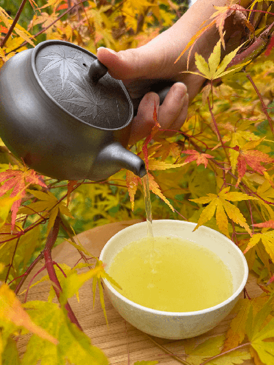 Sencha Karakuni Yabukita JAS | BRATŘI V ČAJI