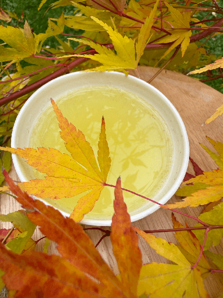 Sencha Karakuni Yabukita JAS