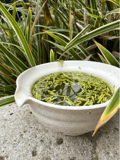 Kukicha Karakuni JAS