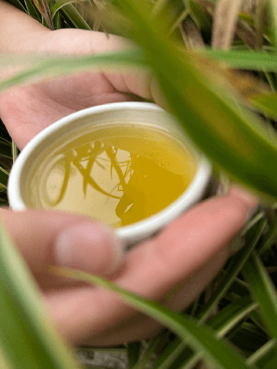 Kukicha Karakuni JAS