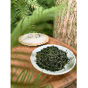 Gyokuro Yamashiro JAS