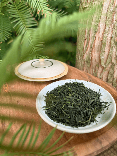 Gyokuro Yamashiro JAS