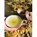 Gyokuro Kyotanabe Premium