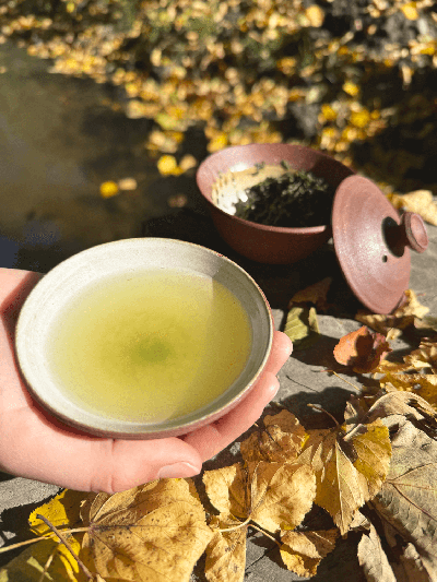 Gyokuro Kyotanabe Premium