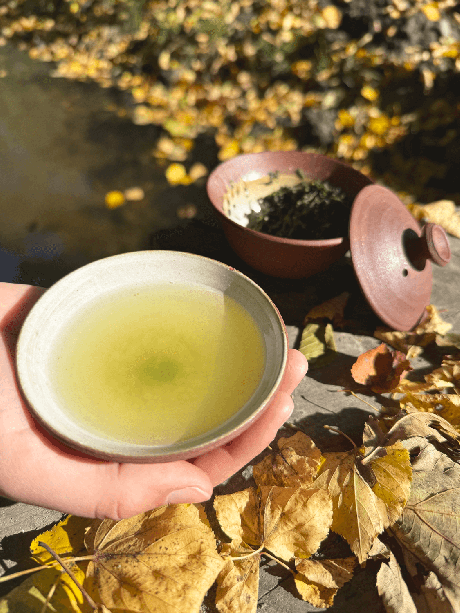 Gyokuro Kyotanabe Premium