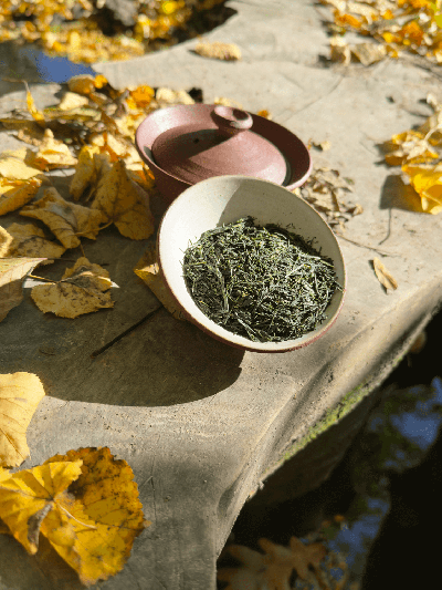 Gyokuro Kyotanabe Premium