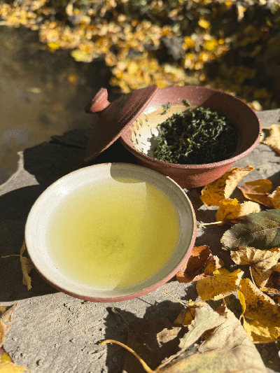 Gyokuro Kyotanabe Premium