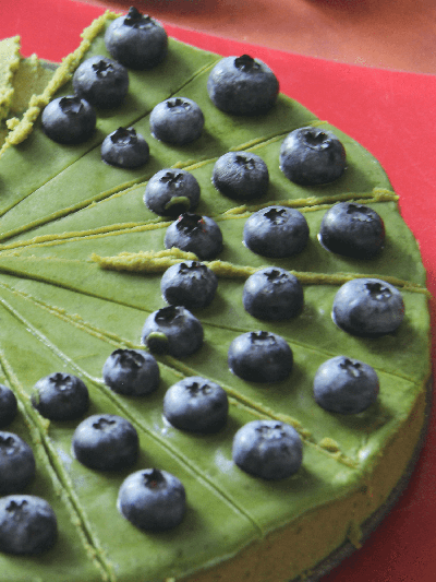 Matcha Culinary Extra JAS 100 g