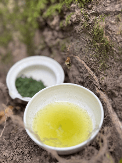 Gyokuro Kyotanabe Standard 50 g