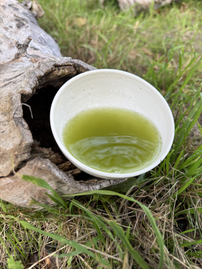 Fukamushi Sencha Saemidori 80 g | BRATŘI V ČAJI