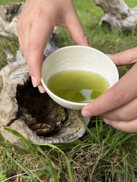 Fukamushi Sencha Saemidori 80 g
