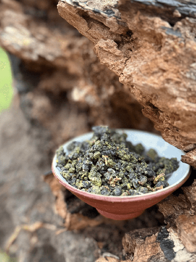 Alishan Jin Xuan oolong