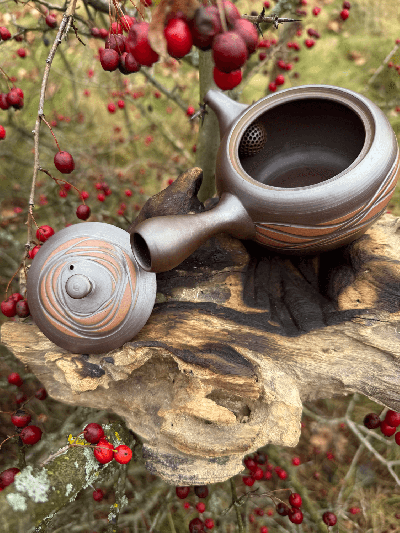 Kyusu konvička Tekoucí voda | Bratři v čaji