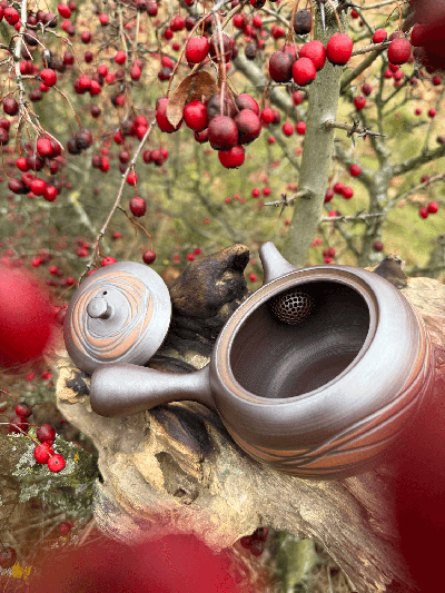 Kyusu konvička Tekoucí voda | Bratři v čaji