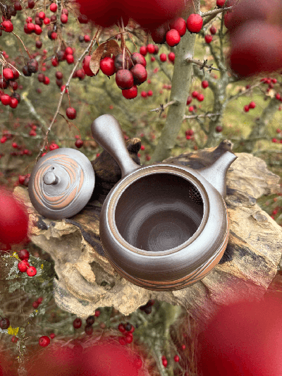 Kyusu konvička Tekoucí voda s dřevěnou krabičkou | Bratři v čaji