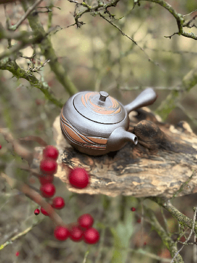 Kyusu konvička Tekoucí voda s dřevěnou krabičkou | Bratři v čaji