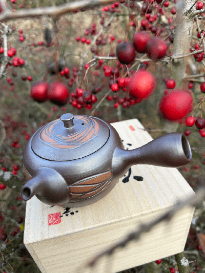 Kyusu konvička Tekoucí voda s dřevěnou krabičkou | Bratři v čaji