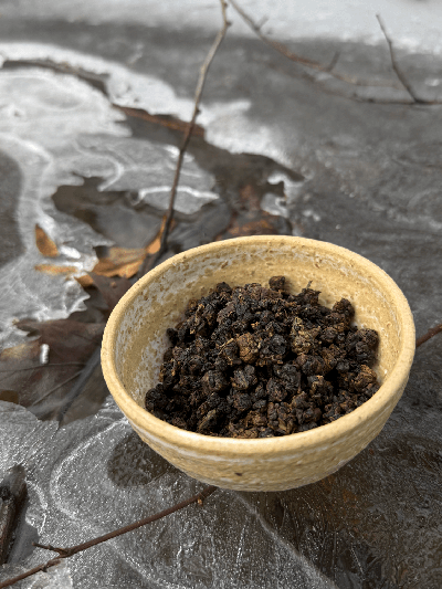 GABA Gaoshan oolong