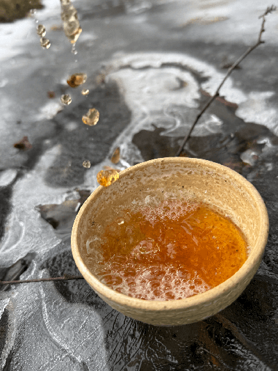 GABA Gaoshan oolong