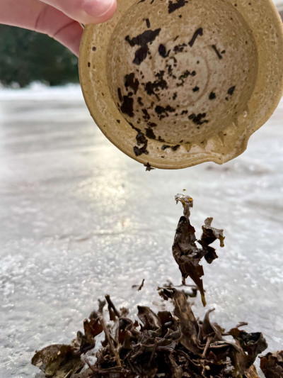 Alishan GABA oolong 75 g, letní sklizeň | BRATŘI V ČAJI