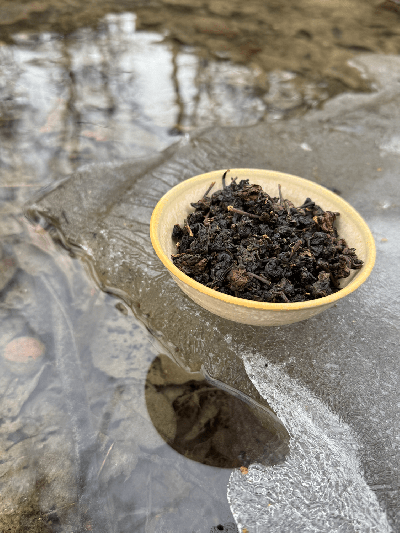 Shui Xian Gaba oolong