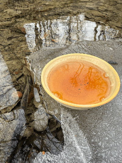 Shui Xian Gaba oolong