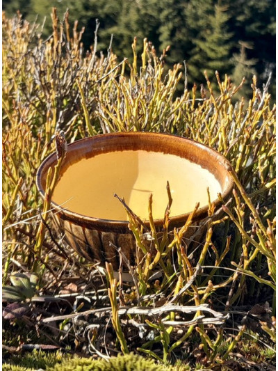 Feng Huang Dancong oolong z Taiwanu 75 g | BRATŘI V ČAJI