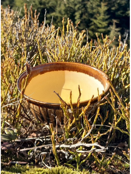 Feng Huang Dancong oolong z Taiwanu 75 g | BRATŘI V ČAJI