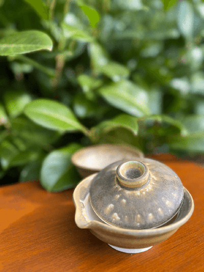 Gaiwan s miskou Dubínek