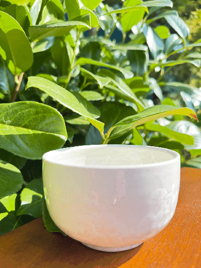 Velká miska Ledová královna | Bratři v čaji