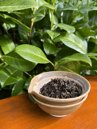 Feng Huang Dancong oolong z Taiwanu 75 g | BRATŘI V ČAJI