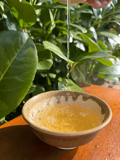 Feng Huang Dancong oolong