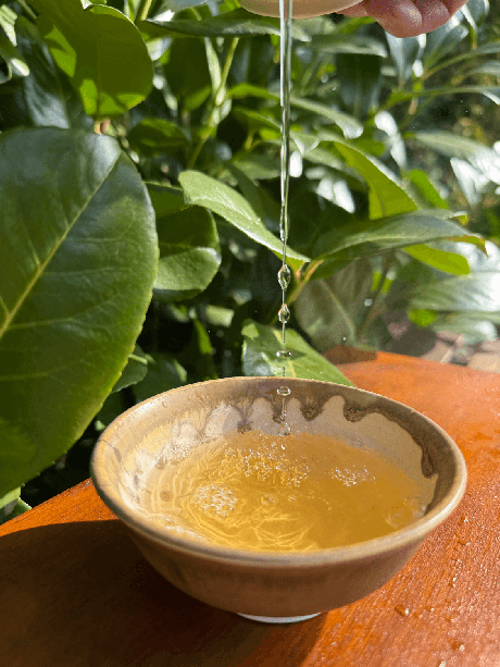 Feng Huang Dancong oolong
