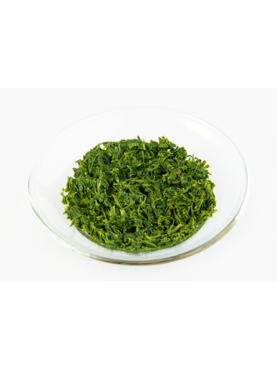 Sencha Yuki JAS