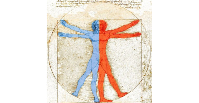 Charakter čaje – kdy tělo zahřívá a kdy ochlazuje?