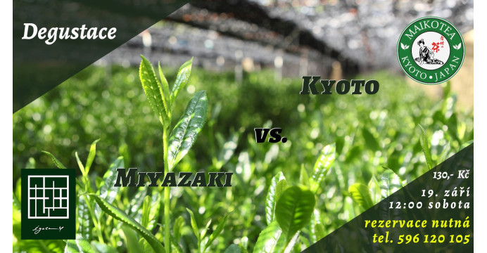 Degustace japonských čajů v Ostravě
