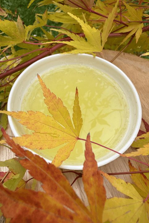 Sencha Karakuni Yabukita JAS