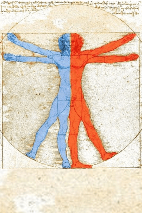 Kdy čaj tělo zahřívá a kdy ochlazuje?