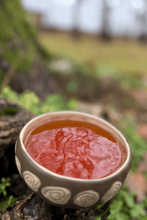 Červený čaj z Alishanu